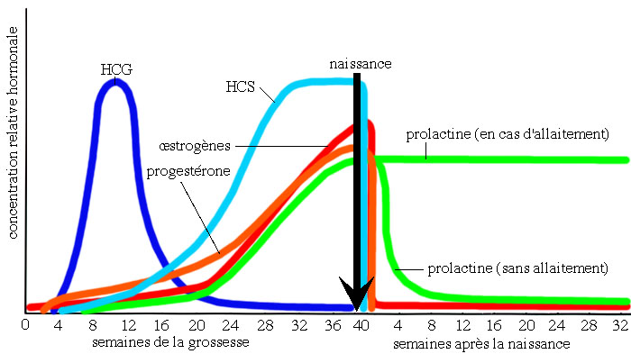 SASI 101-InfAux (Santé, assistance et soins infirmiers): Les ...